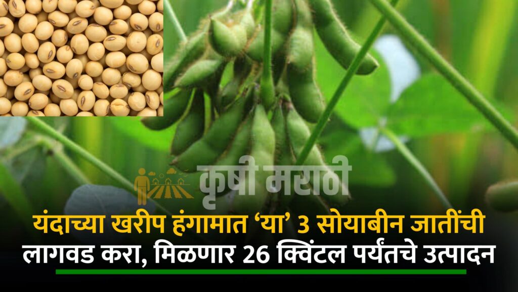 Soybean Farming