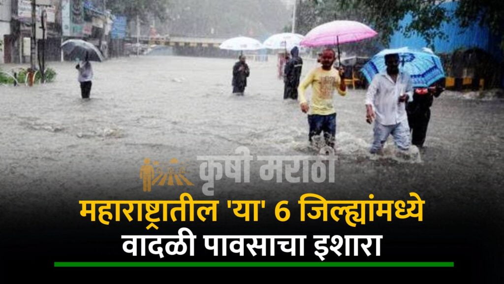 Maharashtra Rain