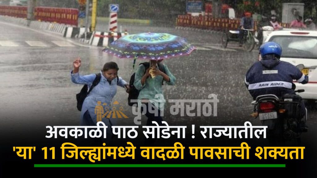 Maharashtra Weather Update