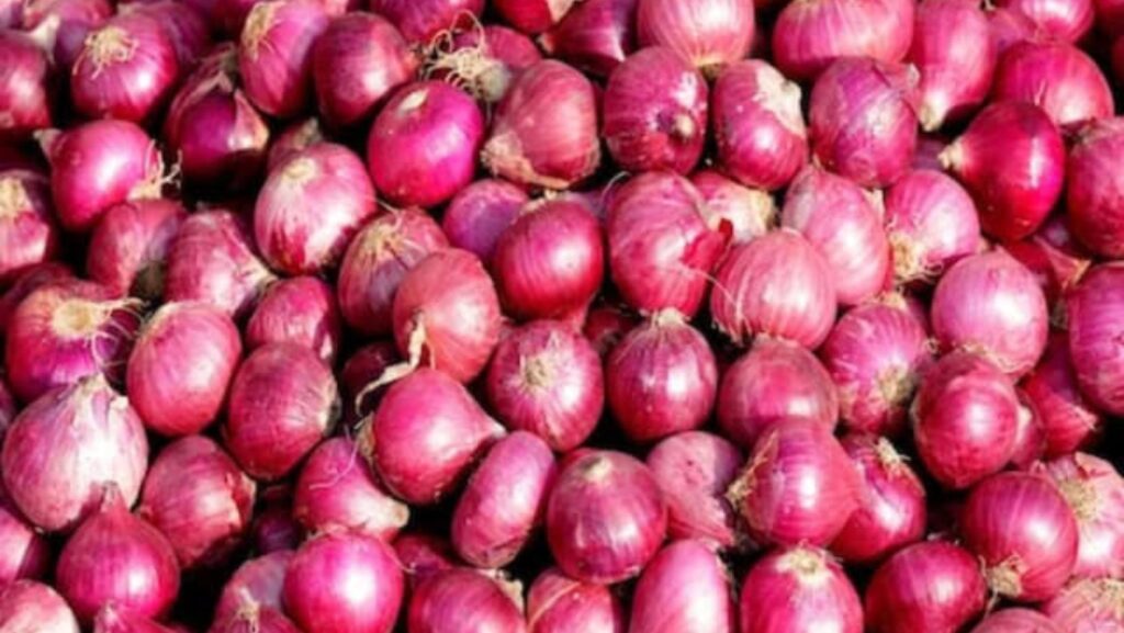 Onion Rate Maharashtra