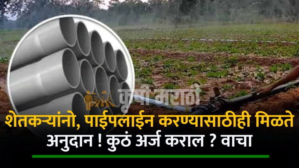 Pipeline Subsidy For Maharashtra Farmer