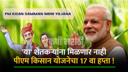 Pm Kisan Yojana