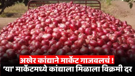 Onion Rate Maharashtra