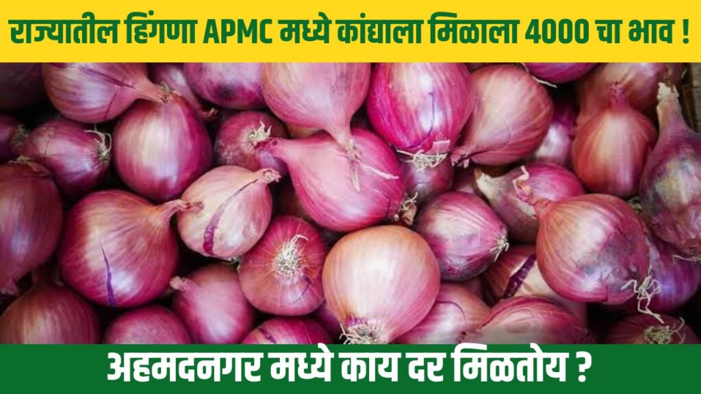 Ahmednagar Onion Rate