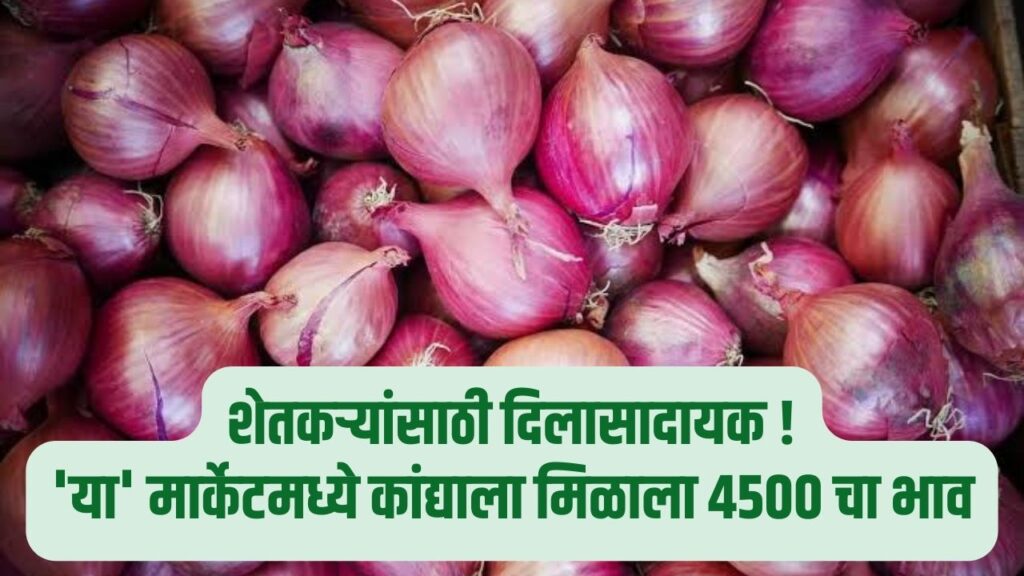 Ahmednagar Onion Rate