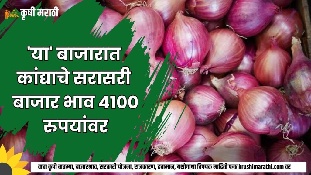 Ahmednagar Onion Rate