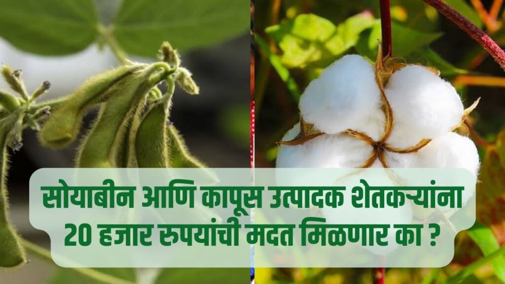 Soybean And Cotton Farming