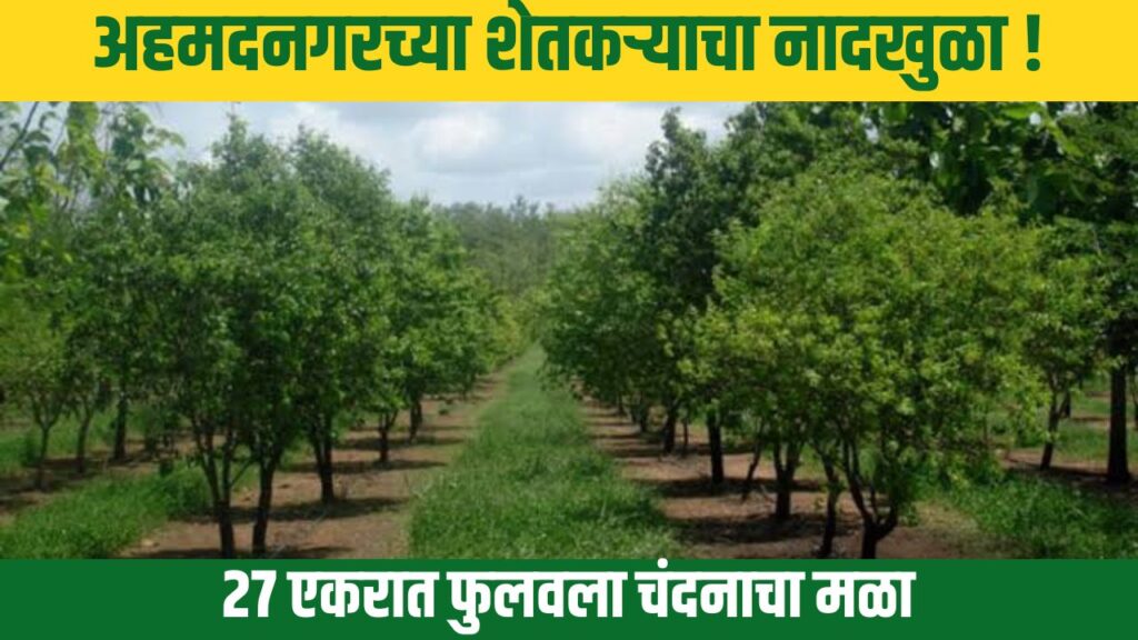 Ahmednagar Farmer Success Story