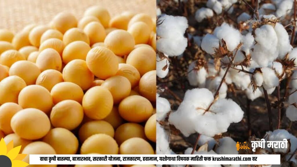 Kapus Ani Soyabean Anudan Kharif 2023