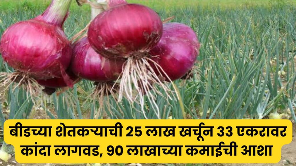 Onion Farming