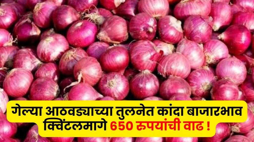 Onion Rate