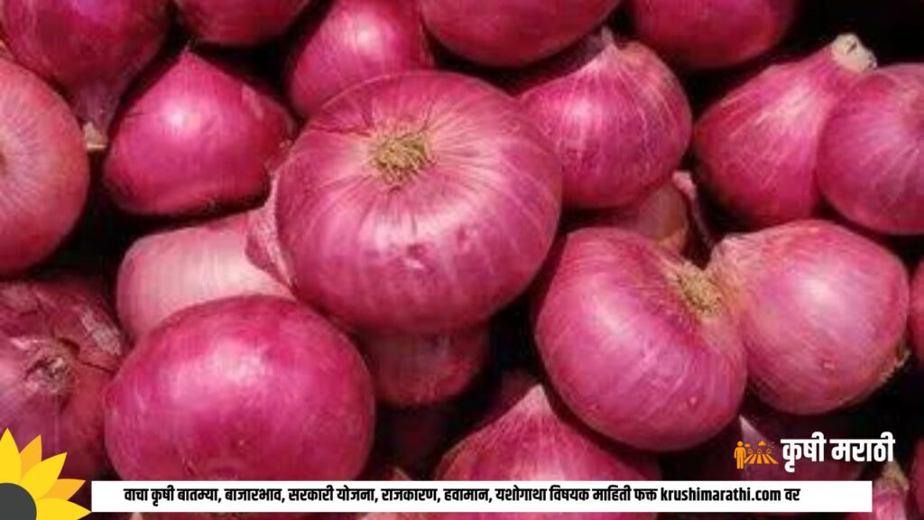 Onion Rate