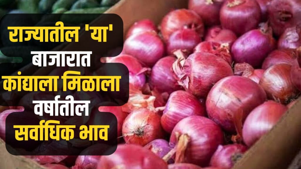 Onion Rate Maharashtra