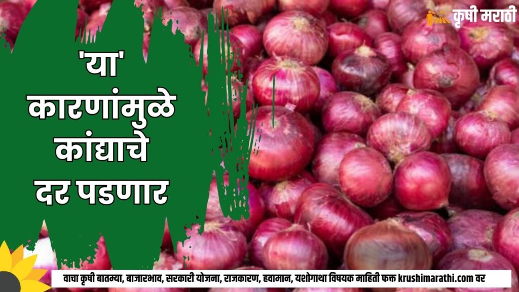 Onion Rate Maharashtra