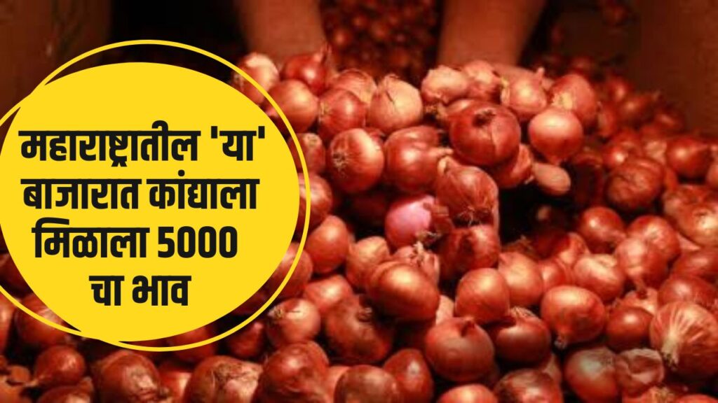 Onion Rate Maharashtra