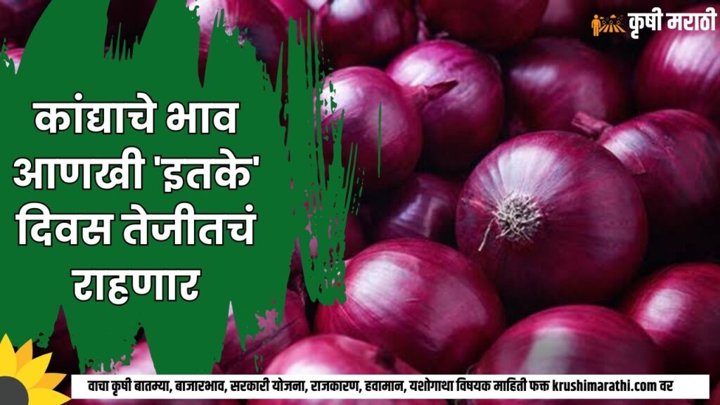 Onion Rate Maharashtra