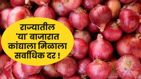 Onion Rate On 15 August