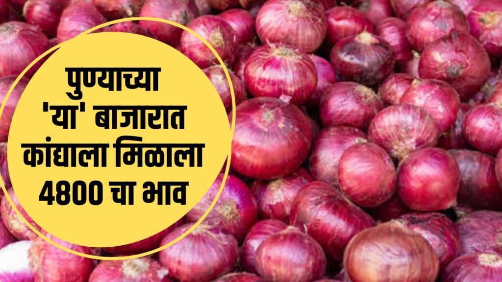 Pune Onion Rate