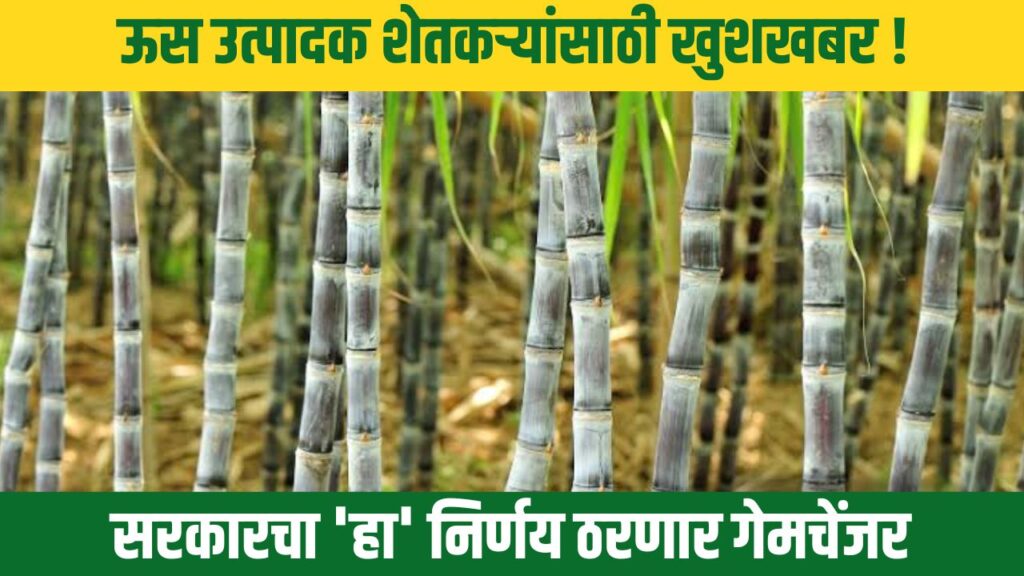 Sugarcane Farming