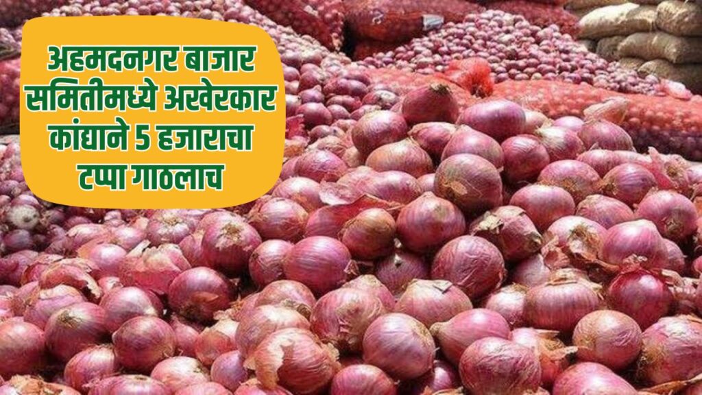 Ahmednagar Onion Rate