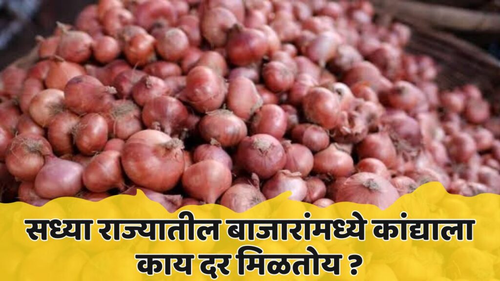 Onion Rate Maharashtra