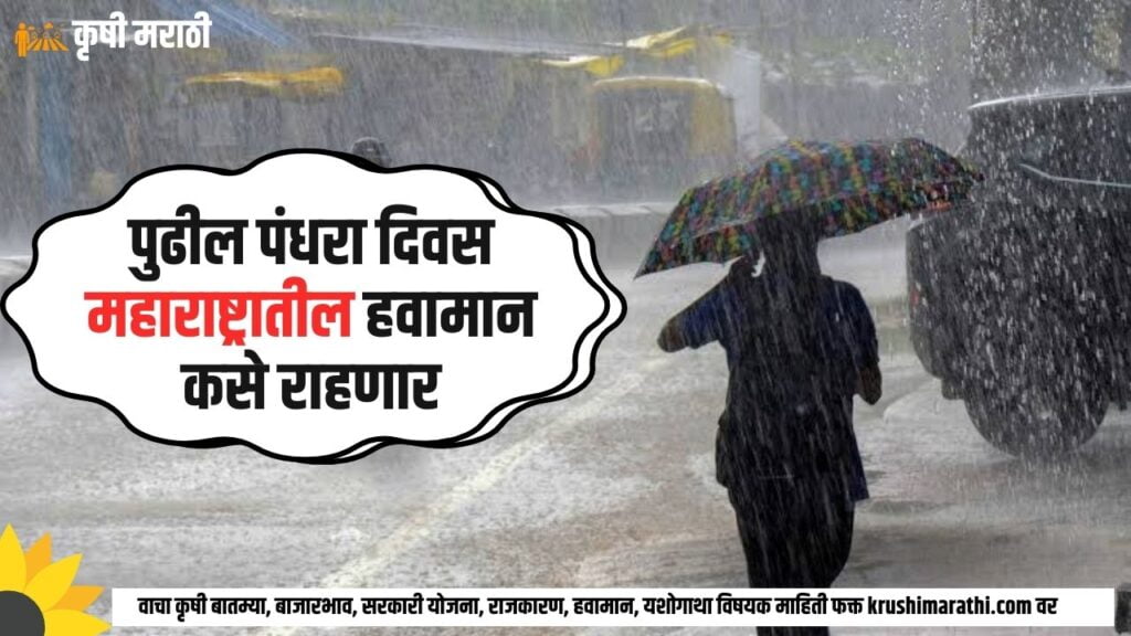 Maharashtra Rain