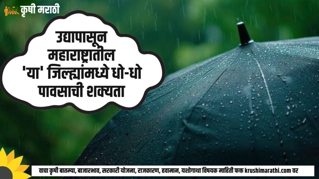 Maharashtra Rain