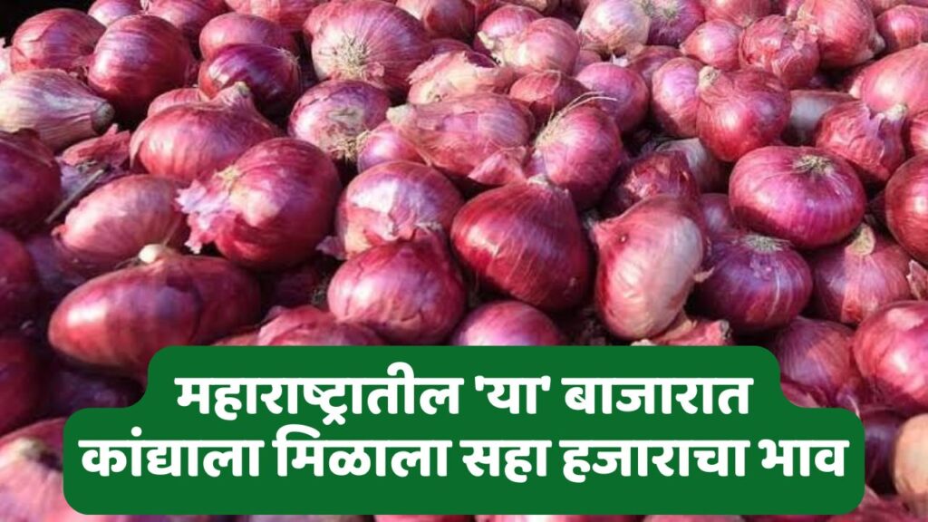 Onion Rate