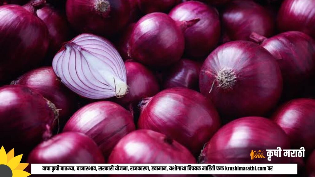 Onion Rate