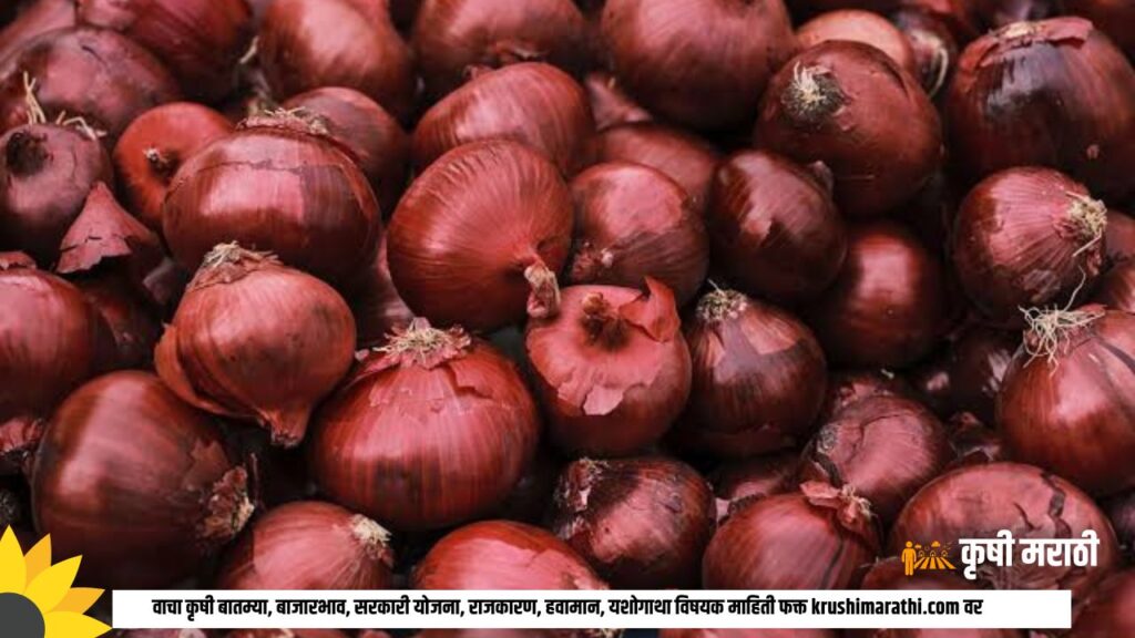 Onion Rate