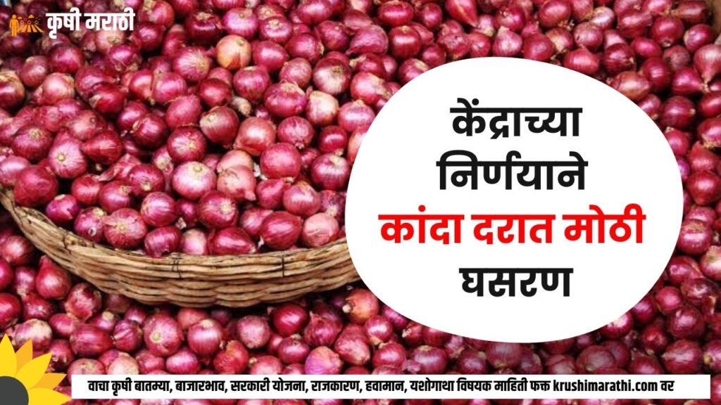 Onion Rate Maharashtra