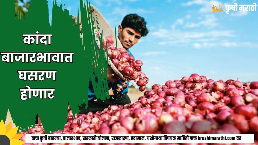 Onion Rate Maharashtra