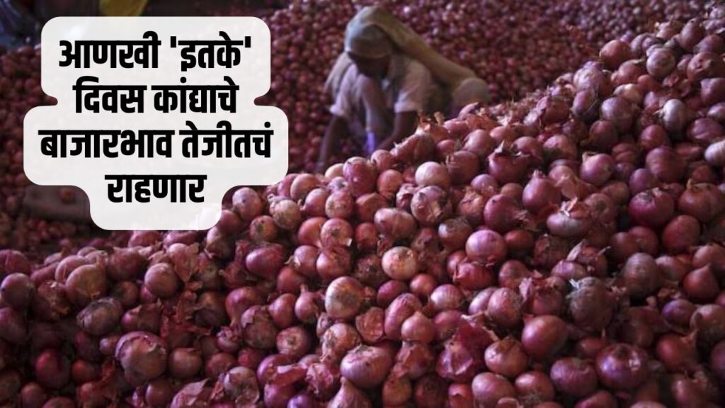 Onion Rate Maharashtra