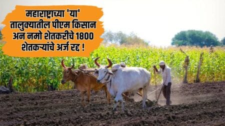 Farmer Scheme