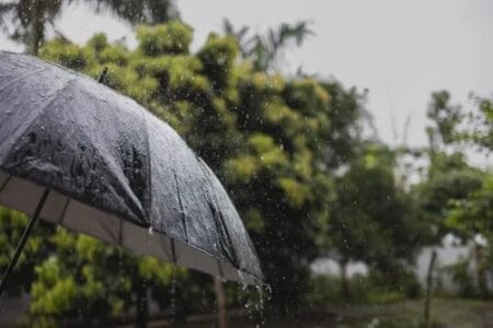 Maharashtra Rain