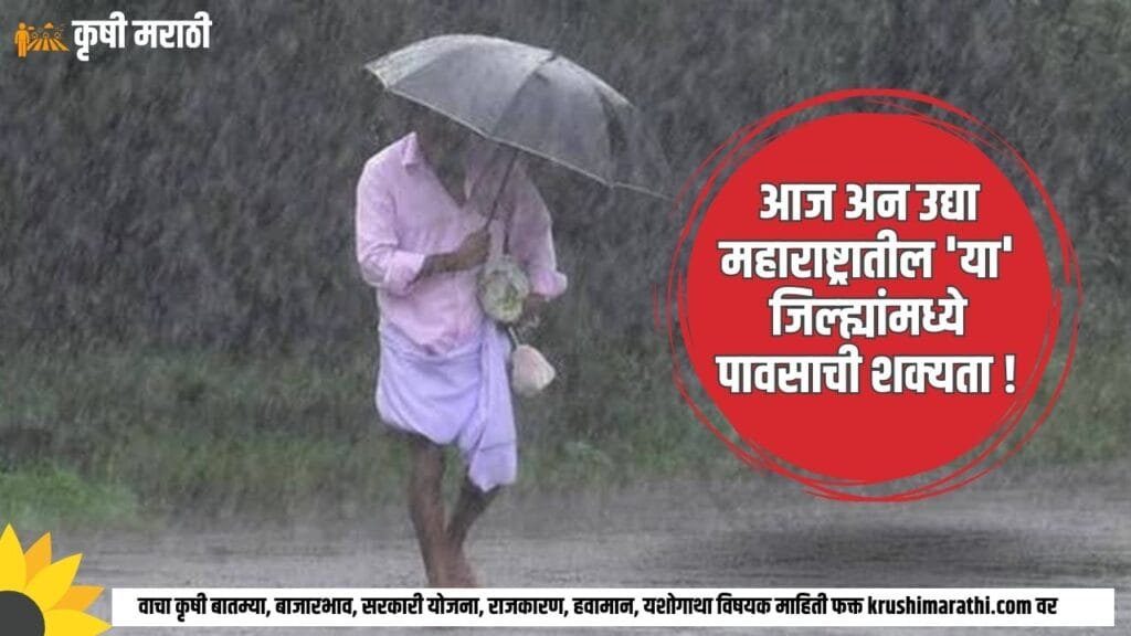 Monsoon News