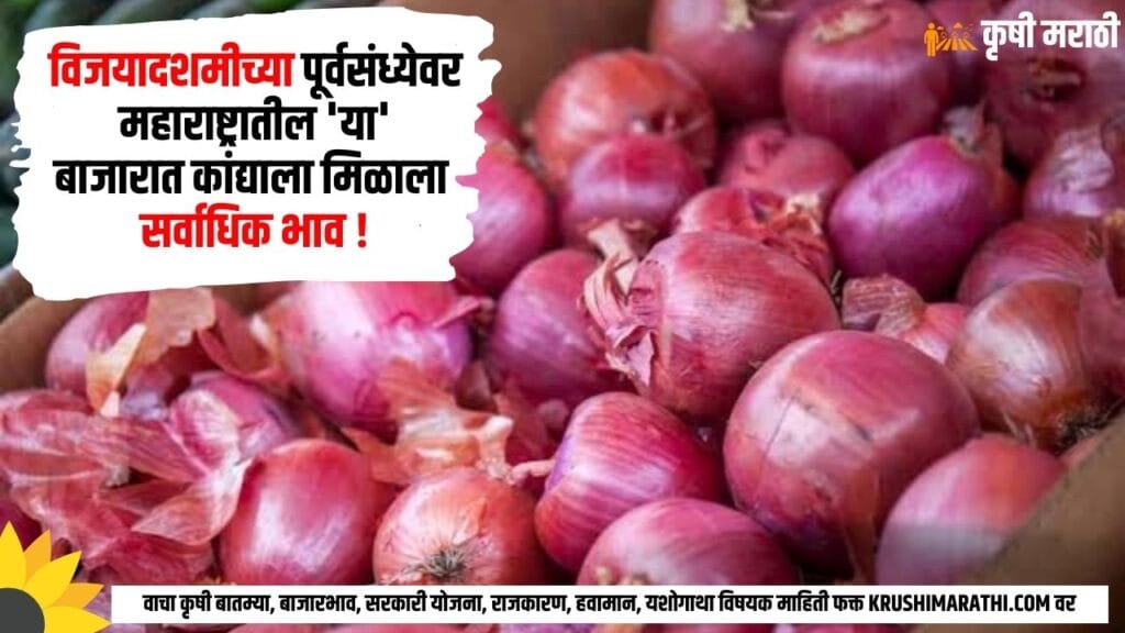 Onion Market Rate