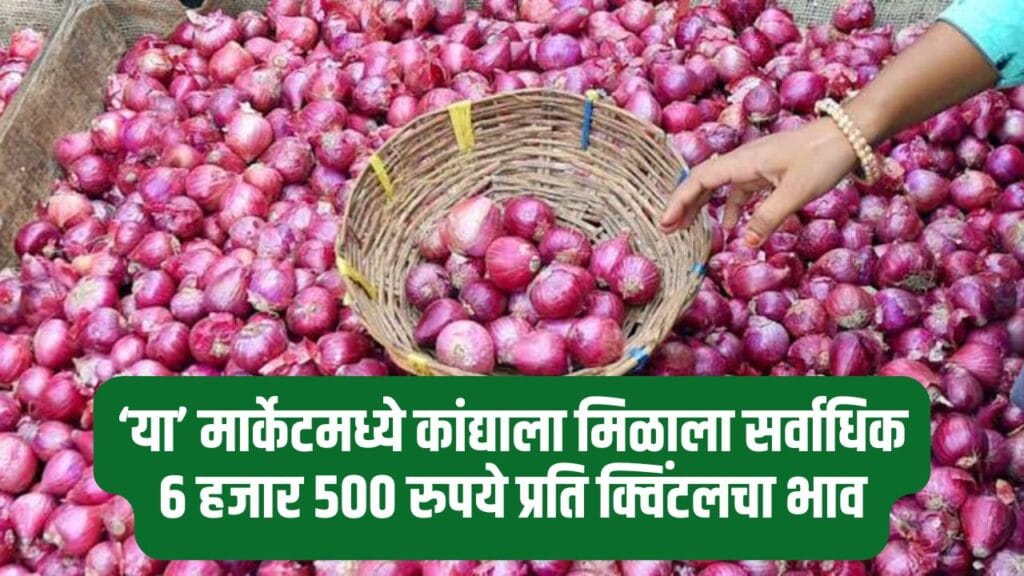 Maharashtra Onion Rate