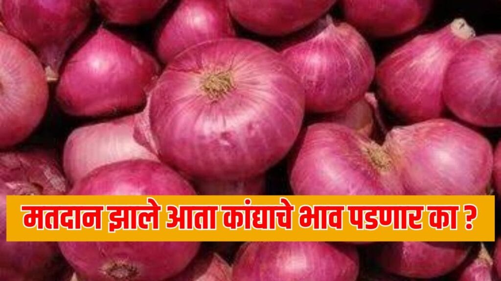 Maharashtra Onion Rate