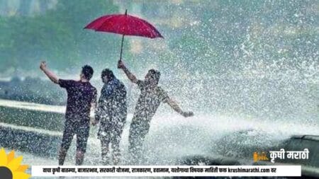 Maharashtra Rain