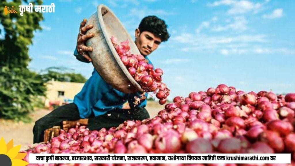 Onion Rate Maharashtra