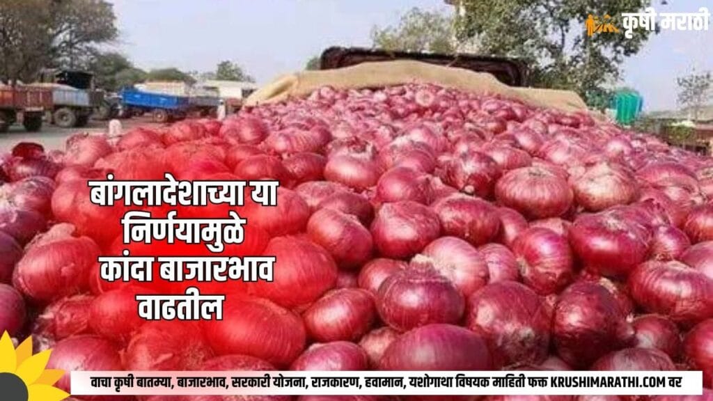 Onion Rate