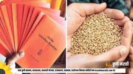 Ration Card News