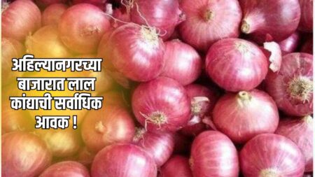 Ahilyanagar Onion Rate