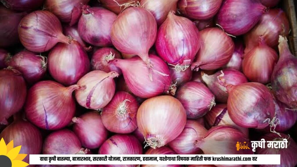 Onion Rate Maharashtra