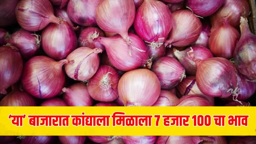 Onion Rate Maharashtra News