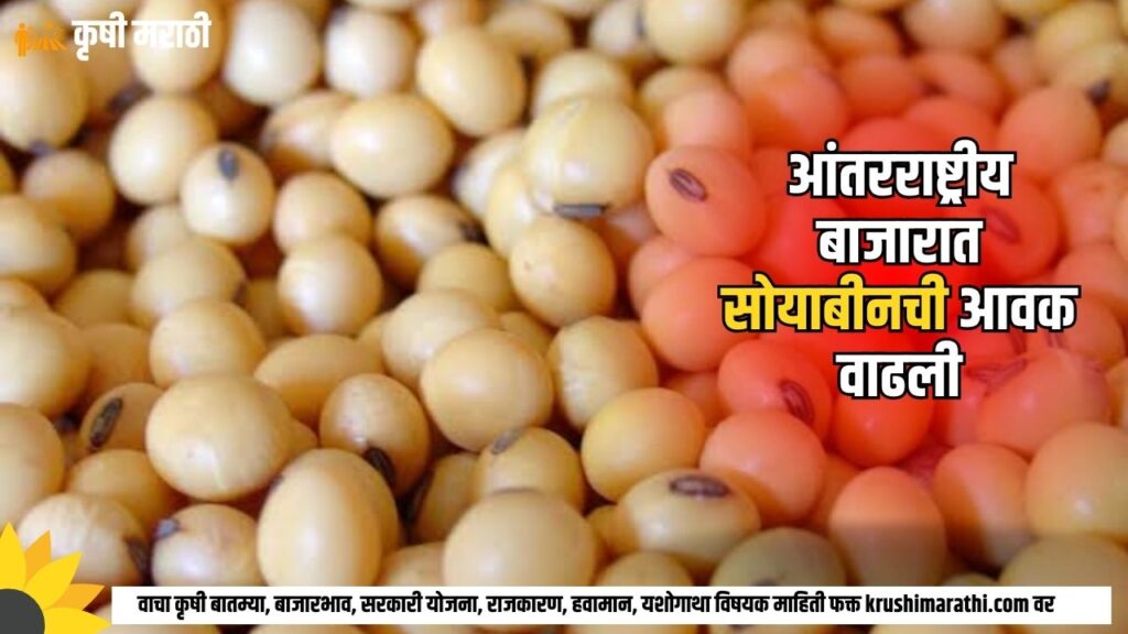 Soybean Rate Maharashtra