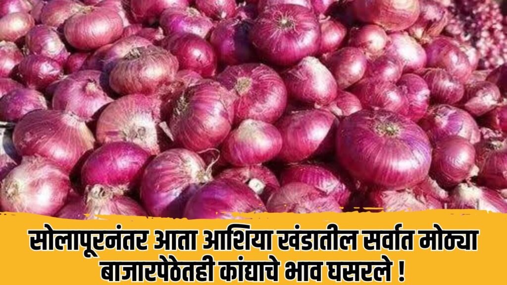 Maharashtra Onion Rate